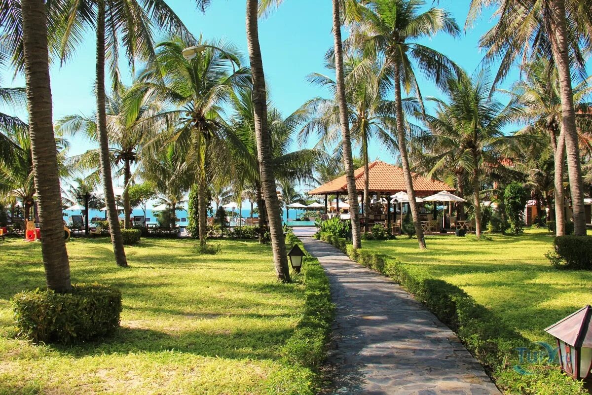 Вьетнам муйне отель хон ром санлайт резорт. Фантьет вьетнам отзывы. Муй нэ вьетнам отели. Фантьет вьетнам. Фантьет вьетнам отзывы.