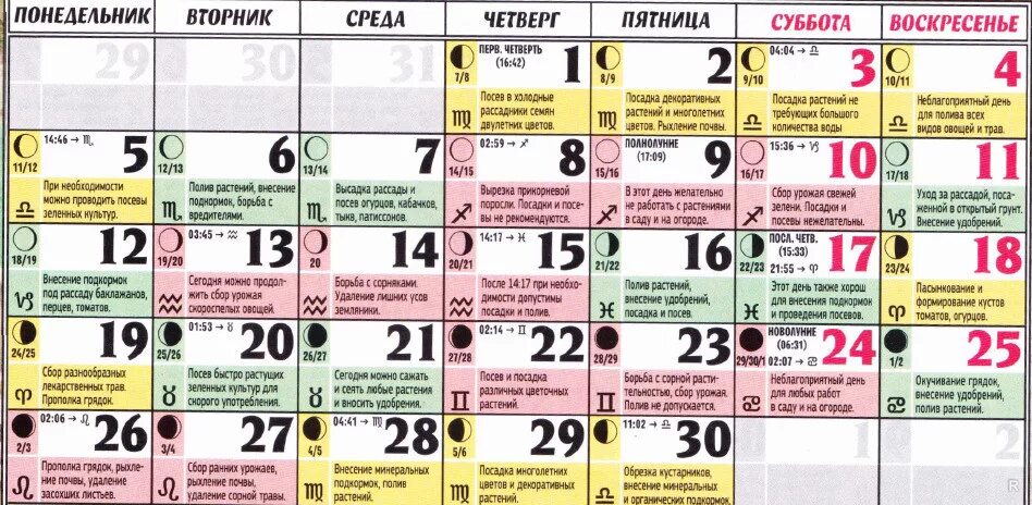 Можно в четверг садить в огороде. Лунный календарь для посадки овощей. посадочные дни в июне. что можно садить сегодня. календарь посадок на июнь.