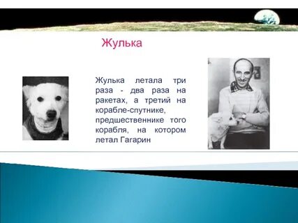 Пришвин жулька