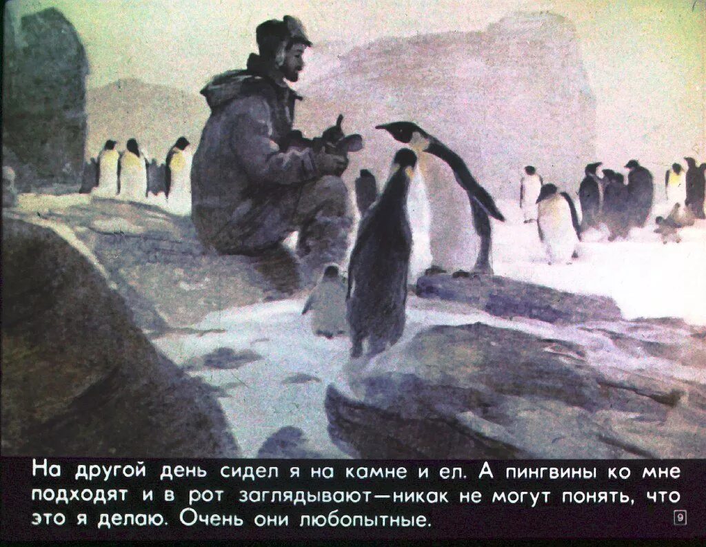 Пересказ рассказов про пингвинов старшая. Чтение рассказов г. Снегирева «про пингвинов».. Снегирев про пингвинов. Пингвиний пляж Снегирев.