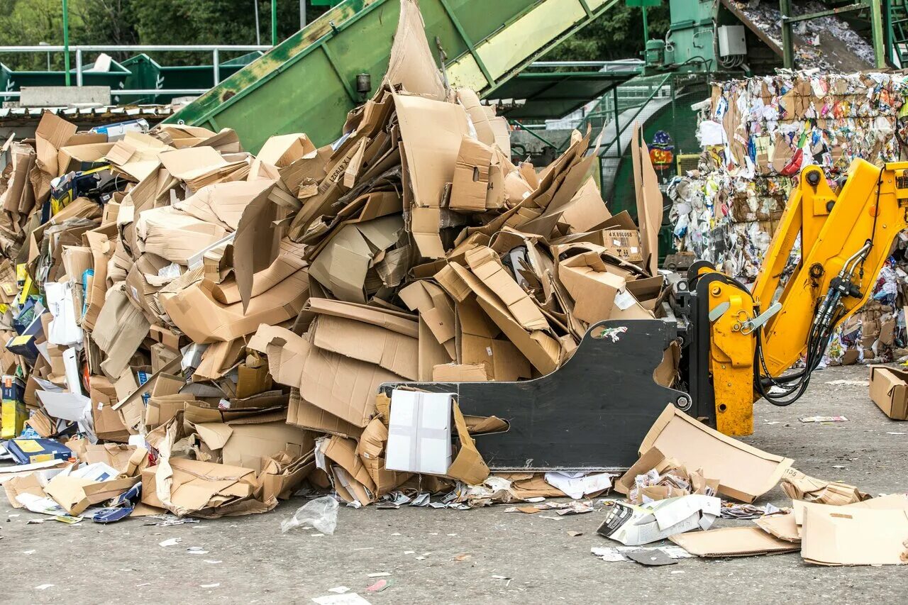 Утилизация отходов в австралии. Переработка отходов. Структура утилизации пластиковых отходов в россии. Recycle в россии. Зеленая фабрика переработки.