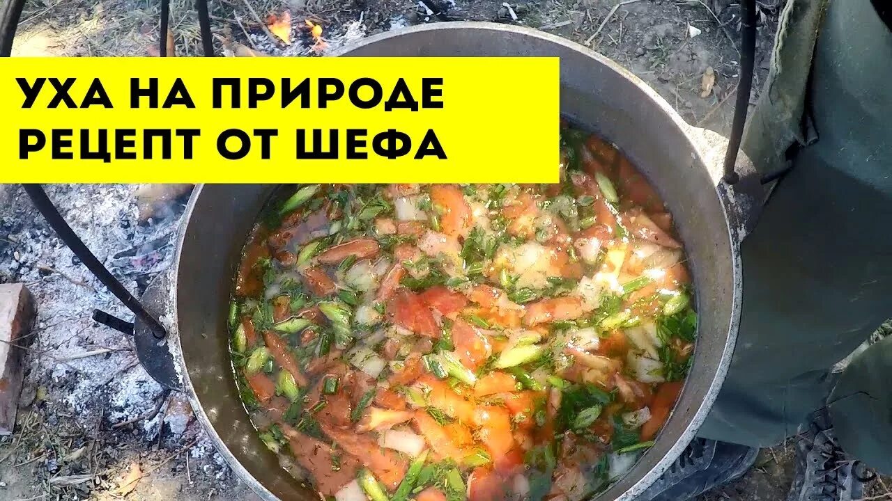 Уха из головы судака. Рецепты в инфографике супы. Варим уху пошагово. Тройная уха. Варим уху пошагово.