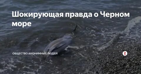 Чем опасно черное море