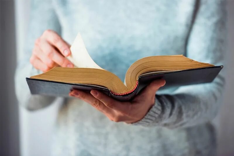 Из мудрых книг черпая знания. Черпать из книги. Черпать из книги. Черпать из книги. Из мудрых книг черпая знания трудом.