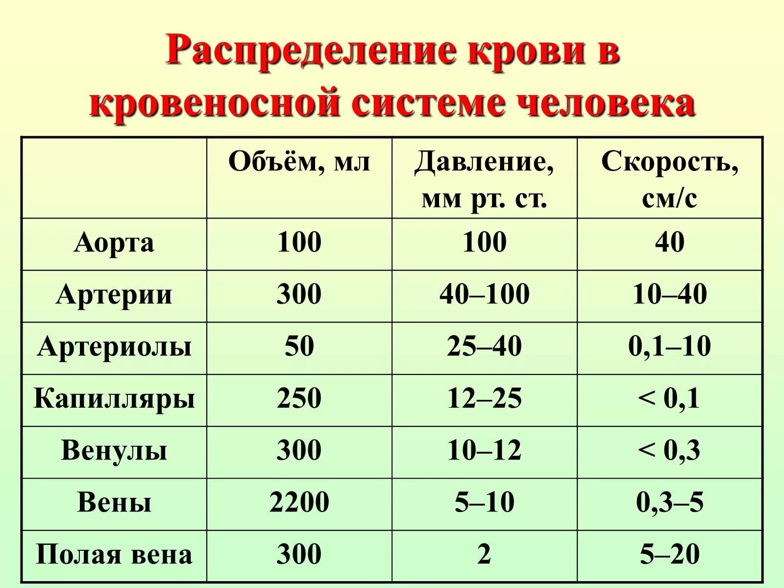 Л мин при давлении. Таблица скорости крови в сосудах. Скорость движения крови по сосудам. Скорость движения крови в сосудах. Кровяное давление в сосудах.