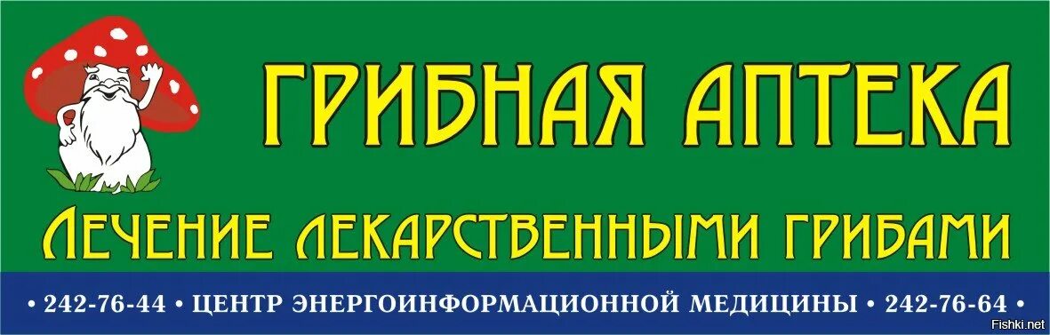 Аптека вишневского сайт. Грибная аптека. Грибы в аптеке. Грибная аптека эмблема. Грибная аптека Санкт-Петербург.