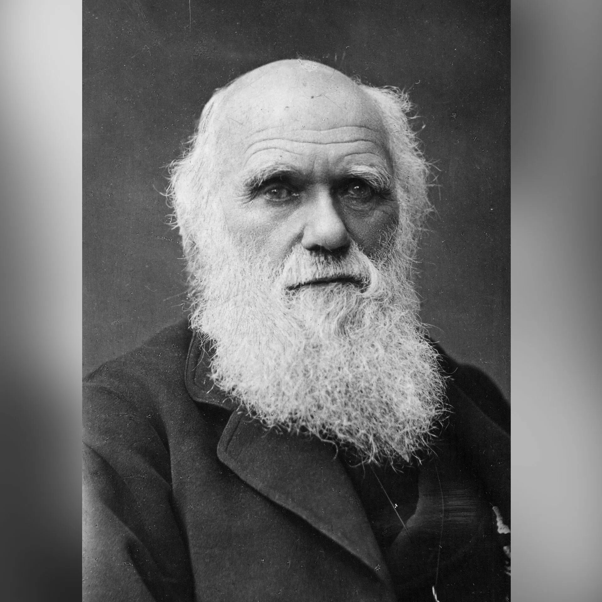 Дарвин это. Фотография Чарльза Дарвина.