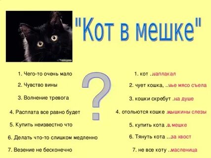 Отольются кошке мышкины