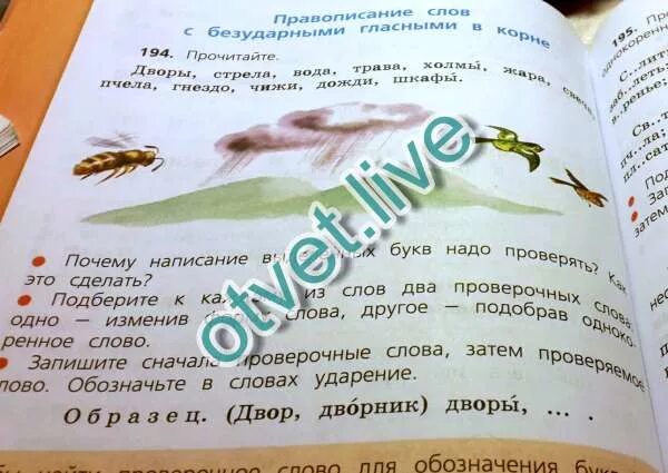 Гнездо проверочное слово 2. Дворы стрела вода трава холмы. прочитайте дворы стрела. стрелы стрела проверочное слово.