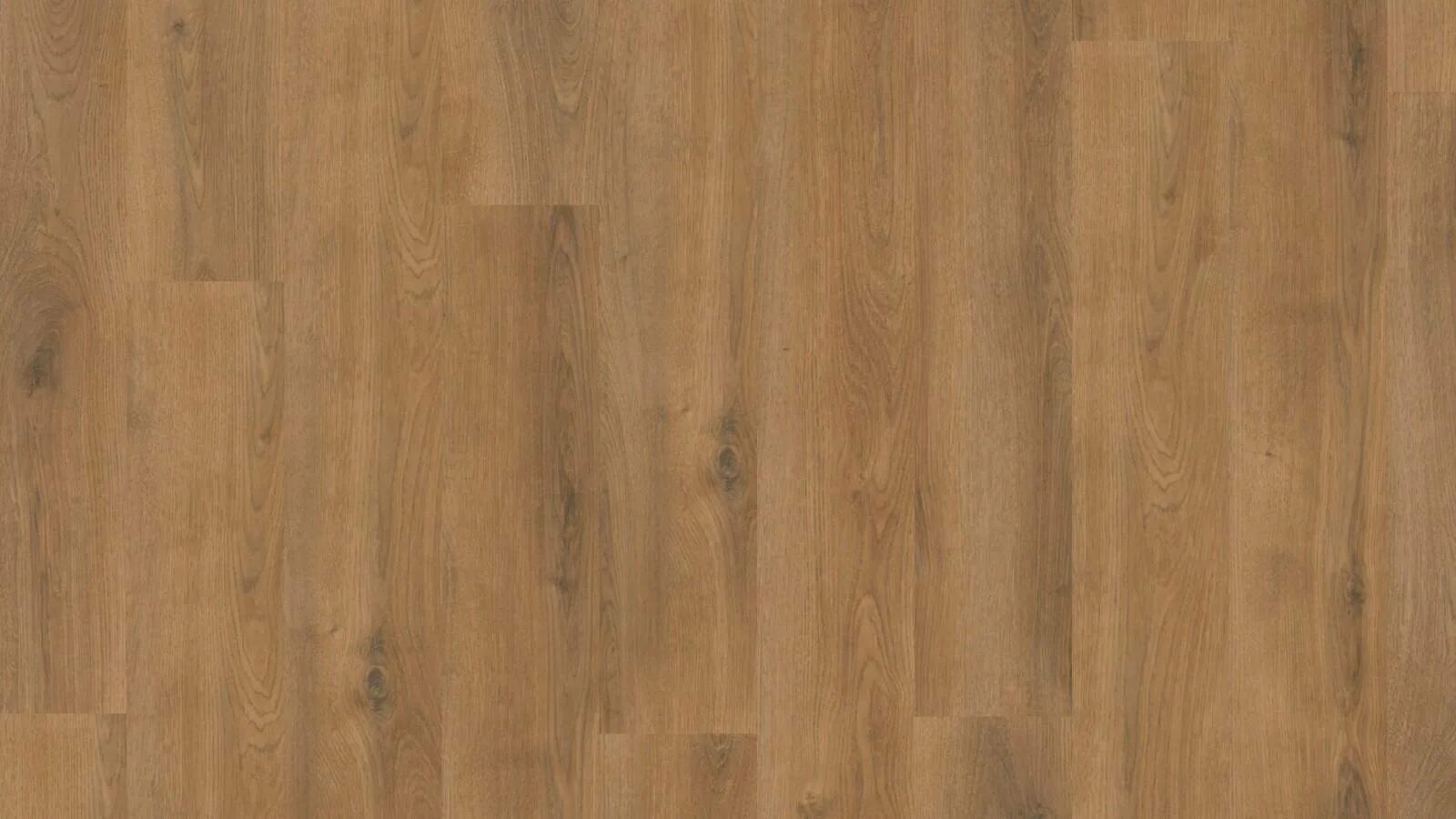 Ламинат цвет дуб эльба. Дуб эльба. Ламинат my floor villa m1228 бильбао титаниум. Дуб эльба. Ламинат дуб эльба.