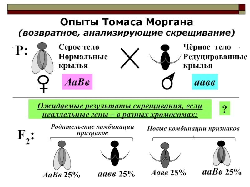 Скрещивания разных