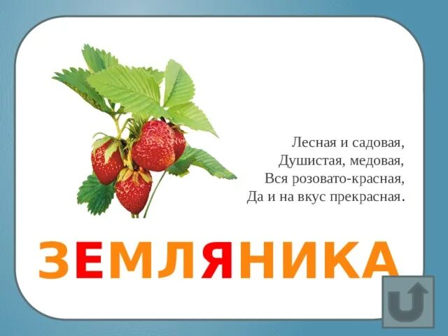 Земляника словарное слово. Карточка со словом земляника. словарное слово земляника в картинках. земляника карточки для детей.