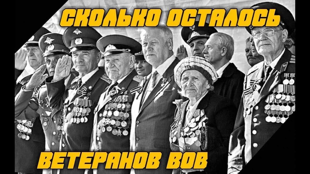 Сколько ветеранов великая отечественная в россии. Сколько осталось ветеранов ВОВ. Оставшиеся ветераны ВОВ. Ветераны живые в 2024 году. Количество ветеранов ВОВ 2021.