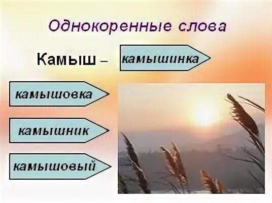 Окончание слова камышом