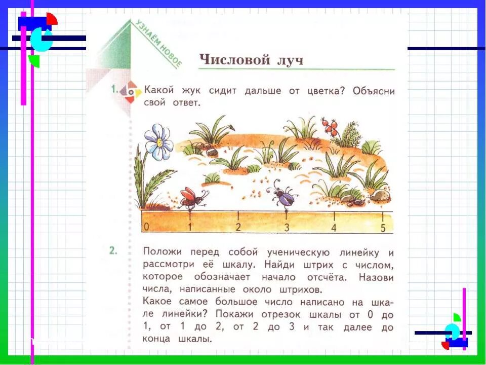 Числовой луч задания. Числовой луч 2 класс задания по математике. математика числовой луч 2 класс. задачи на числовой луч 2 класс. луч числовой луч 2 класс.