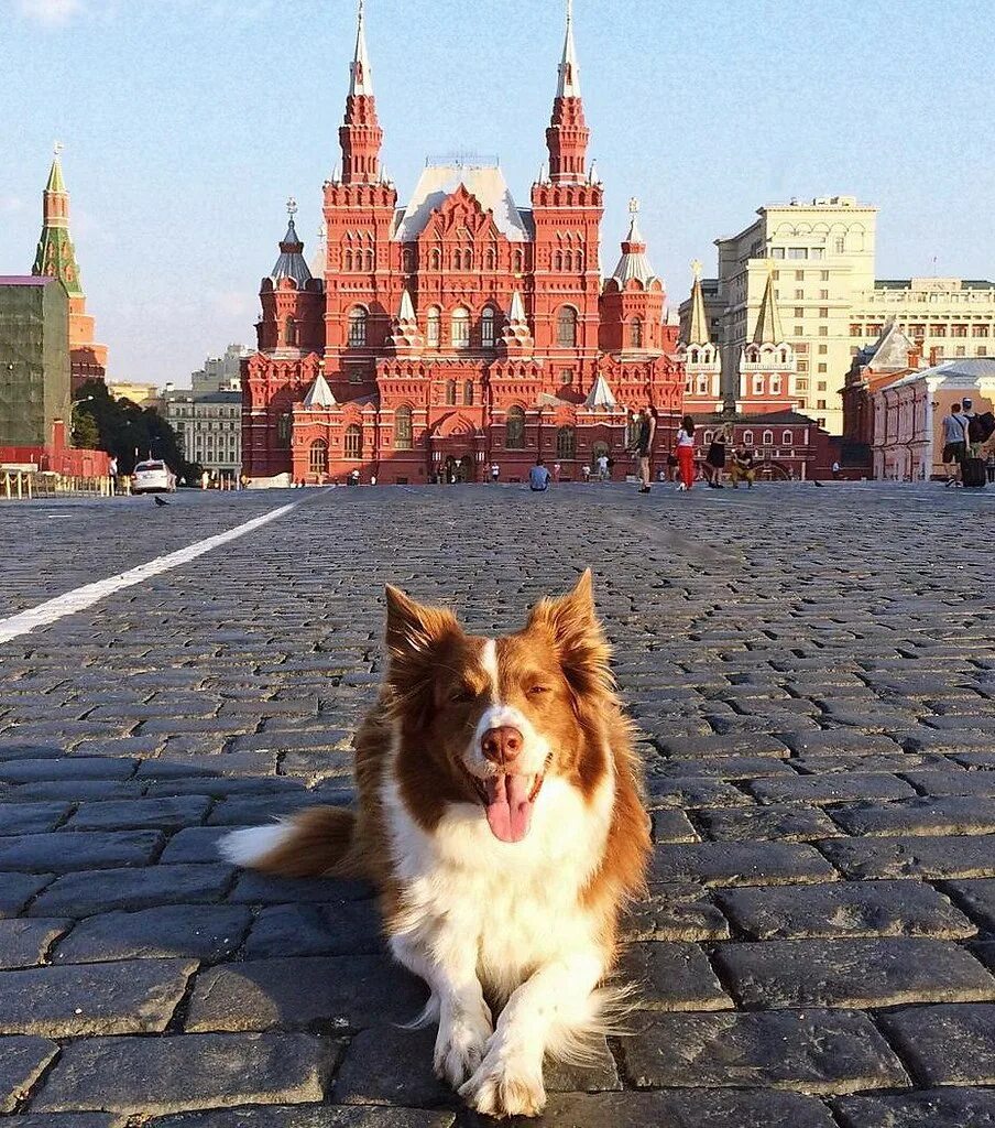 С добрым утром, Москва! Сегодня до минус 1 Москва: афиша бесплатных событий