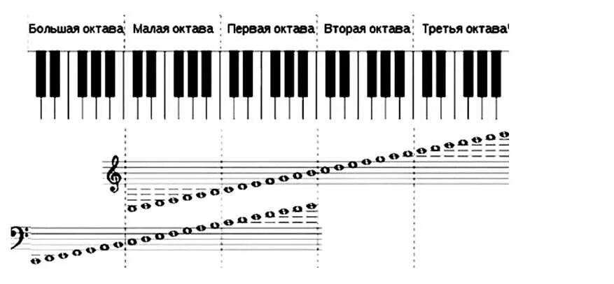 Ноты большой октавы. Басовый ключ расположение нот на фортепиано. Ноты первой октавы в басовом Ключе. Басовый ключ малой октавы. Ноты в басовом Ключе на нотном стане малая Октава.