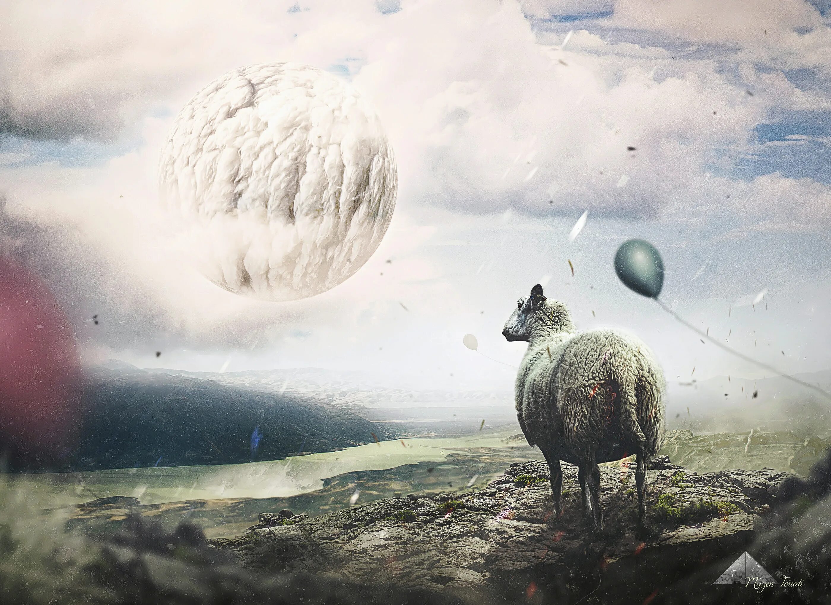 Deep sheep studio
