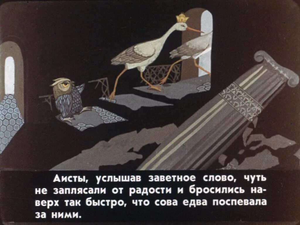 Калиф аист читать сказку. Калиф аист сова принцесса. калиф аист попугай. волшебный фонарь калиф аист. калиф аист буратино.