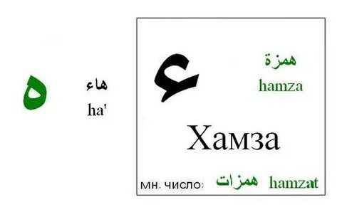 Хамзе значение