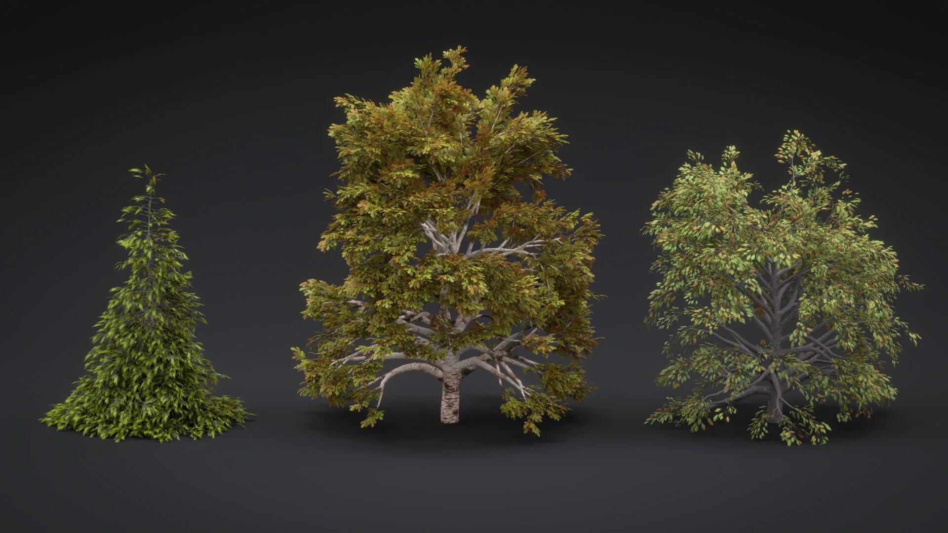 Create tree. Blender 3d Tree. Деревья в Blender 3d. Дерево в блендер 3д. Деревья model.