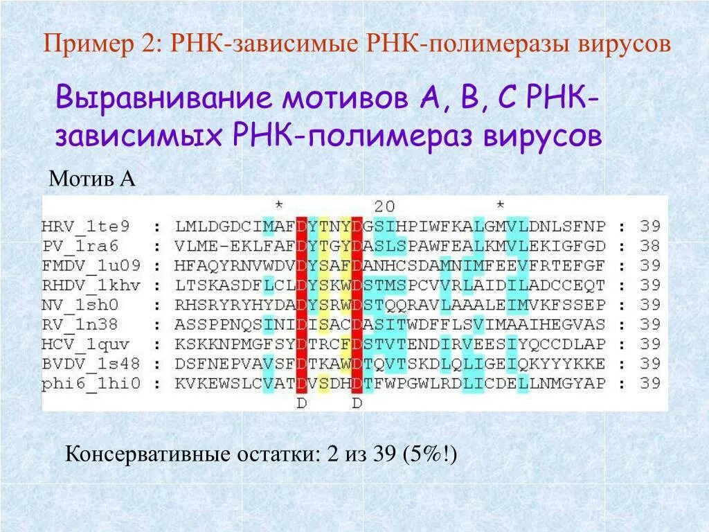 РНК зависимая РНК полимераза. ДНК зависимые РНК полимеразы. ДНК-зависимая РНК-полимераза. Выравнивание последовательностей пример.