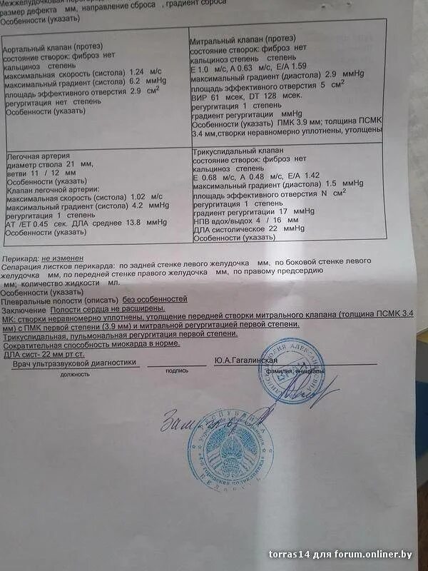 Пмк 1 степени что это такое
