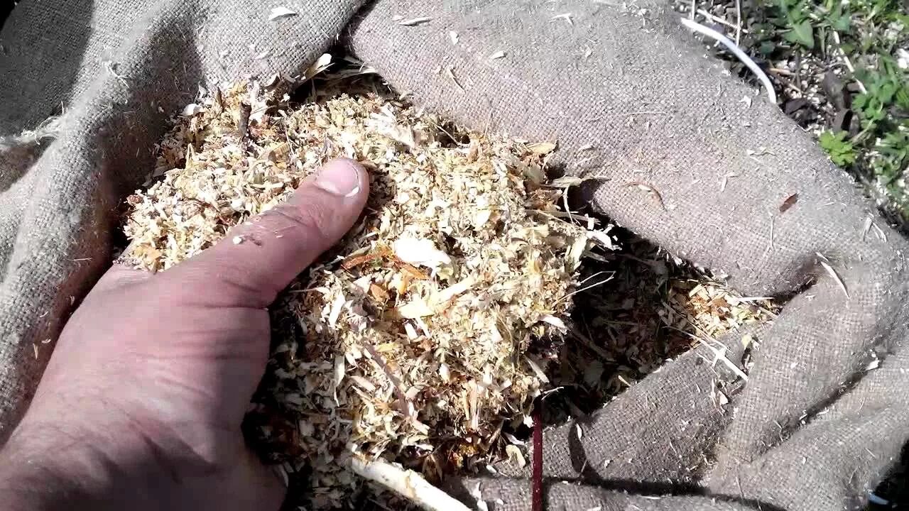 Щепа после измельчителя. Садовый измельчитель мульч-2. мульча измельчение веток. мульча из измельчителя веток. мульча после измельчителя веток.