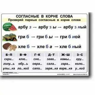Примеры слов с парными