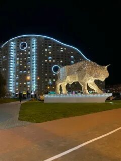 Зубр минск