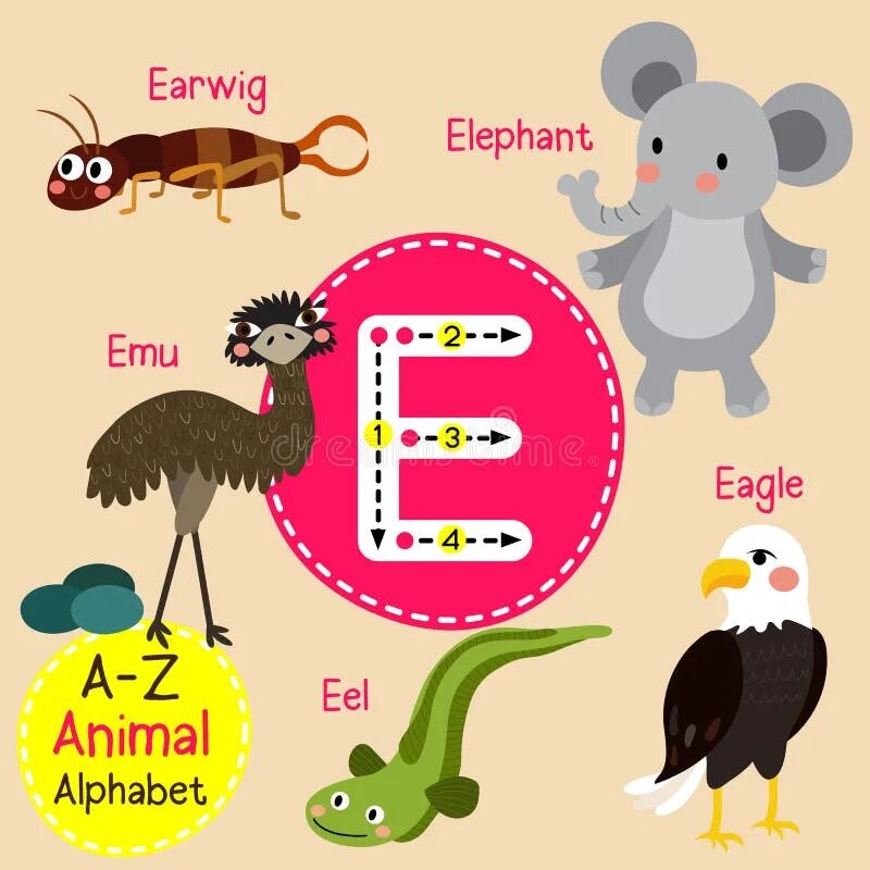 Abc animals