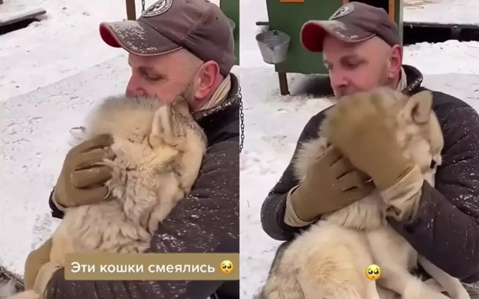 Говорили что я не собака кошки смеялись. Язык и общение животных. Говорили что я не собака кошки смеялись. Говорили что я не собака кошки смеялись. Говорили что я не собака кошки смеялись.