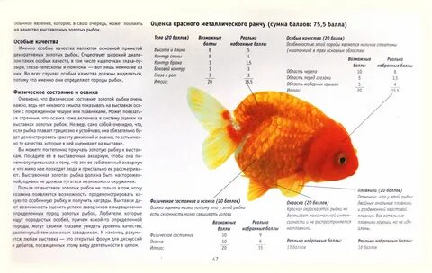Золотая рыбка состав