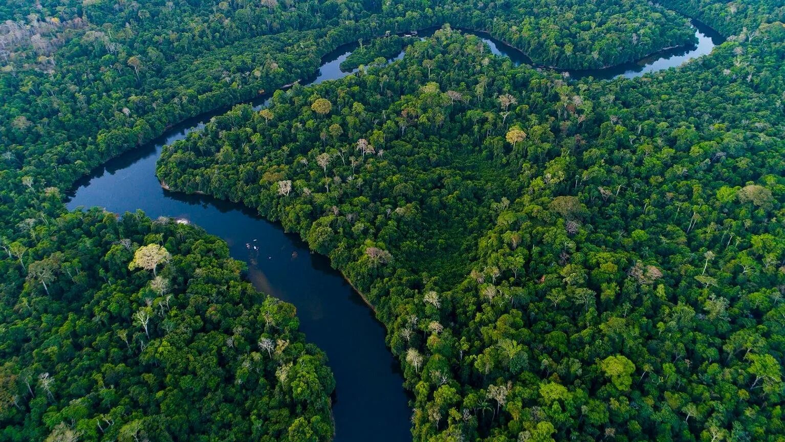 Самые большие реки на планете земля. Река Амазонка в Бразилии. Устье реки Амазонка. Южная Америка река Амазонка. Достопримечательности Бразилии река Амазонка.