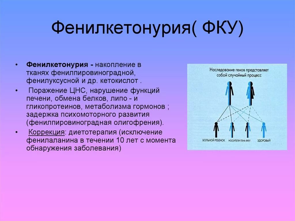 Наследование фенилкетонурия Тип наследования. Фенилкетонурия Тип наследования аутосомно. Фенилкетонурия симптомы Тип наследования. Фенилкетонурия Тип наследования признака. Фенилкетонурия генотип