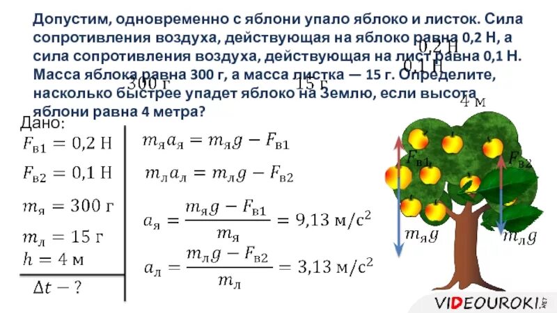 Яблоки не падают никогда отзывы. Допустим одновременно с яблони упало яблоко. Допустим одновременно с яблони упало яблоко и листок. Сила сопротивления воздуха. Сила сопротивления воздуха равна.