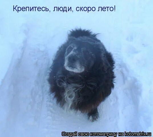 мужайтесь люди скоро лето митяев. картинки мужайте люди, скоро лето. олег митяев скоро лето. крепитесь люди скоро лето картинки. крепитесь люди скоро лето.