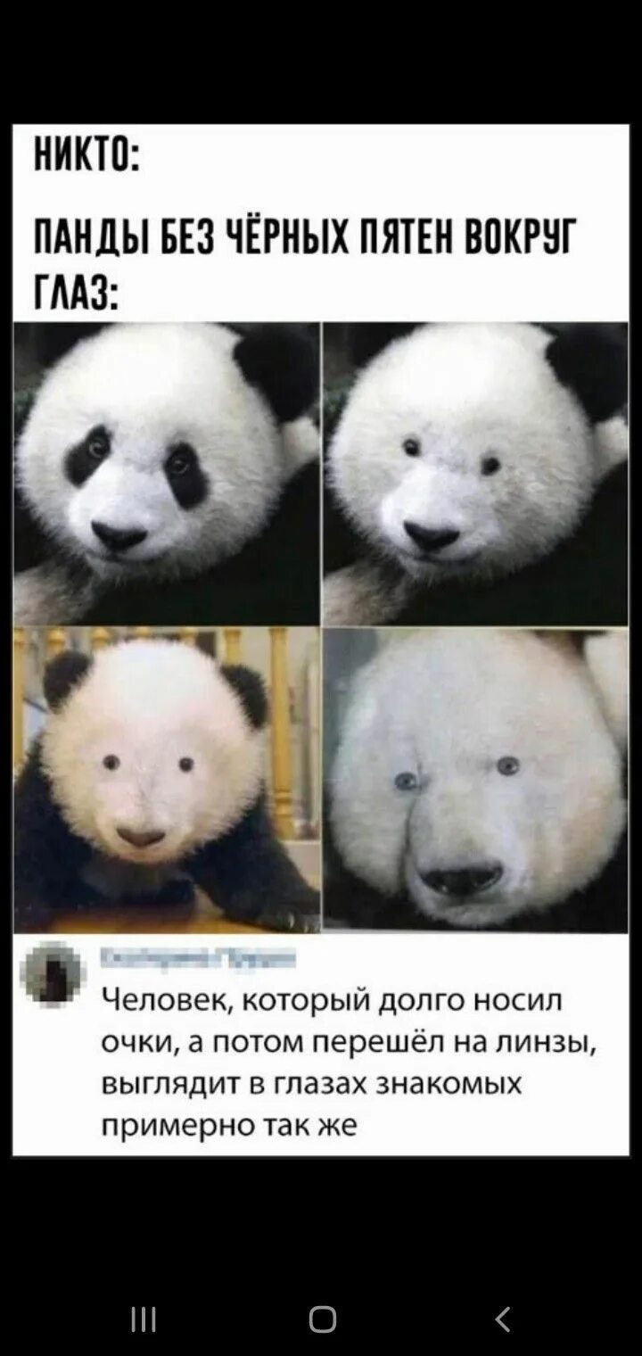 Панда без кругов. Как выглядит Панда без черных пятен. Панда без черных кругов. Панда без черных кругов под глазами. Панда без макияжа.
