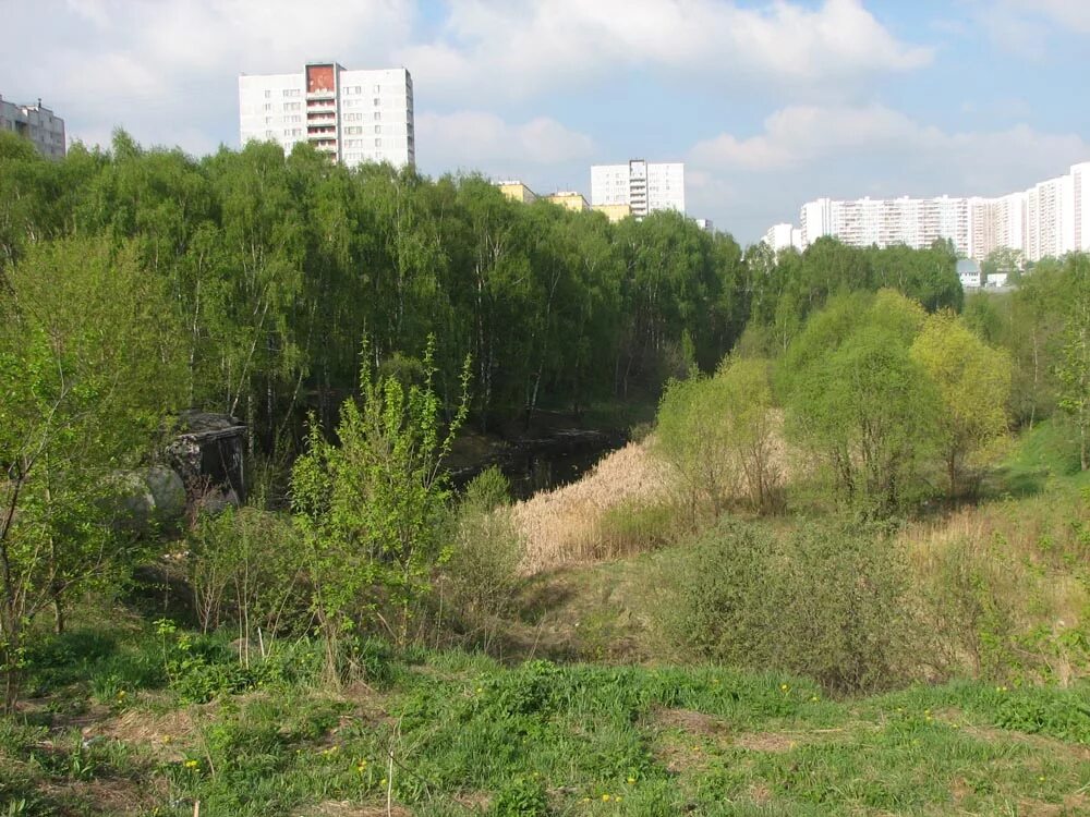 Ясенево орехово. Парк Долина реки Шмелёвки Москва. Парк Шмелёвский ручей Москва. Шмелевский парк Зябликово. Москва парк Шмелёвский ручей парк Долина реки Шмелёвки.