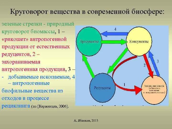 Круговорот веществ в биосфере обеспечивается. Круговорот веществ в биосфере. Темпы циркуляции веществ в биосфере. Биологический круговорот энергии. Круговорот веществ d ,bjccatht.