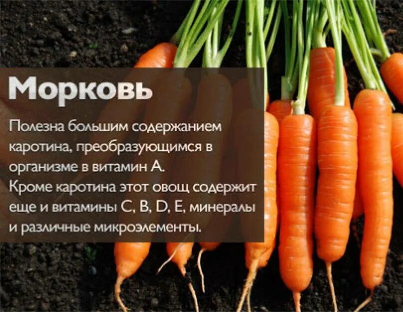 Сколько углеводов в моркови. Морковь. Полезные витамины в моркови. Для чего полезна морковь. Полезные качества моркови.