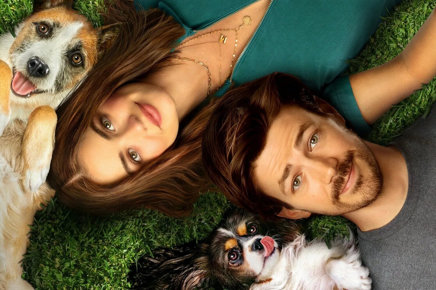 щенячья любовь 2023 отзывы. щенячья любовь 2023 отзывы. дорама юная любовь. рождение первой любви дорама. щенячья любовь 2023 отзывы.