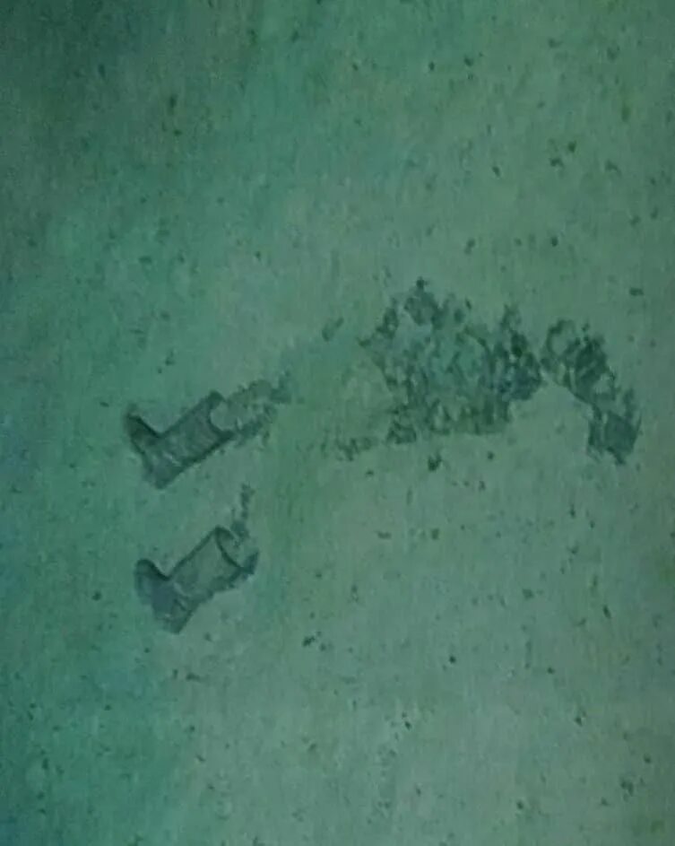 Wreck of 200-year-old whaling ship may have been found in Gulf of Mexico