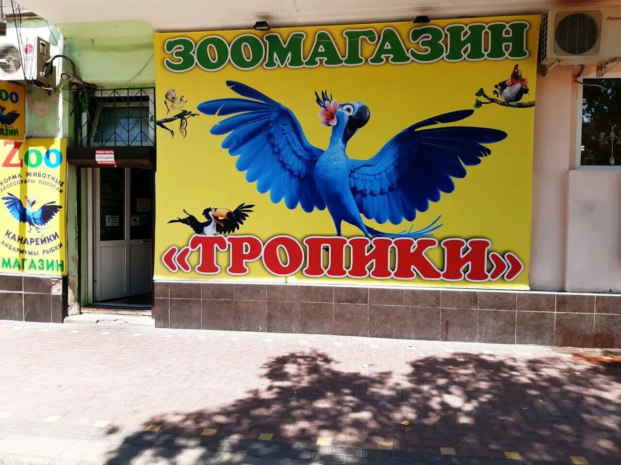 Тропики магазин. Зоомагазин тропики имама шамиля 25. зоомагазин в махачкале. магазин тропика махачкала. тропики махачкала магазин.