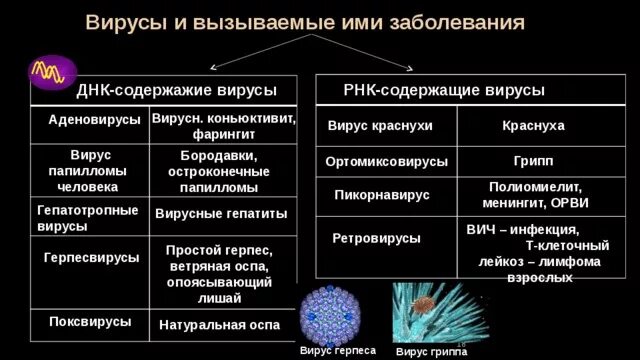 Вирусы ДНК содержащие заболевания РНК содержащие. Вирусы и заболевания вызываемые ими ДНК И РНК. ДНК-содержащие и РНК-содержащие вирусы примеры. Заболевания вызванные РНК содержащими вирусами. Вирусные заболевания 9 класс