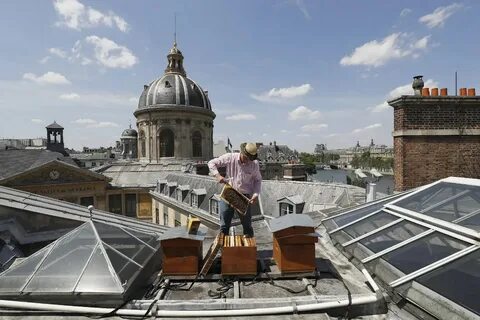 Direct it to the roof