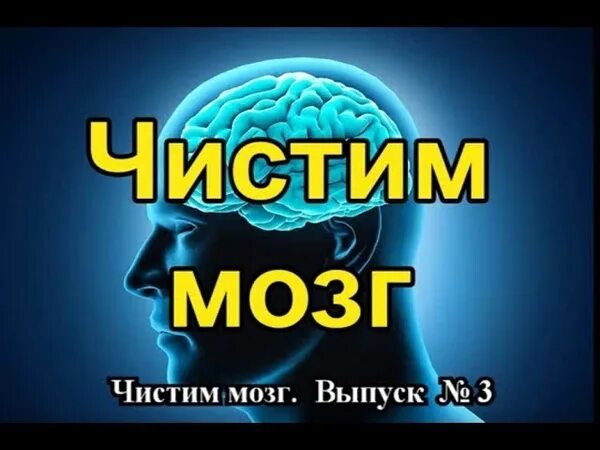 Что чистит мозг. Чистим мозг. Почистить мозги. Очисти свой мозг.