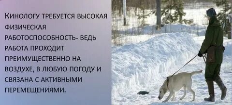 Кинолог плюсы и минусы