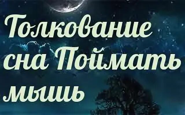 Толкование снов много мышей