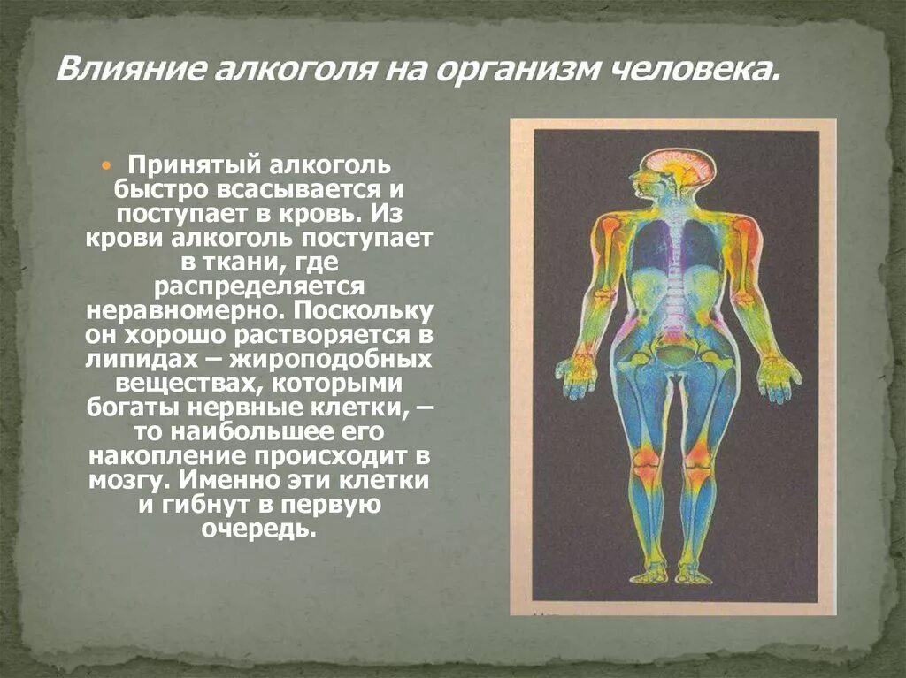 Растворение в организме. Алкоголь на организм человека. Влияние алкоголизма на организм человека.